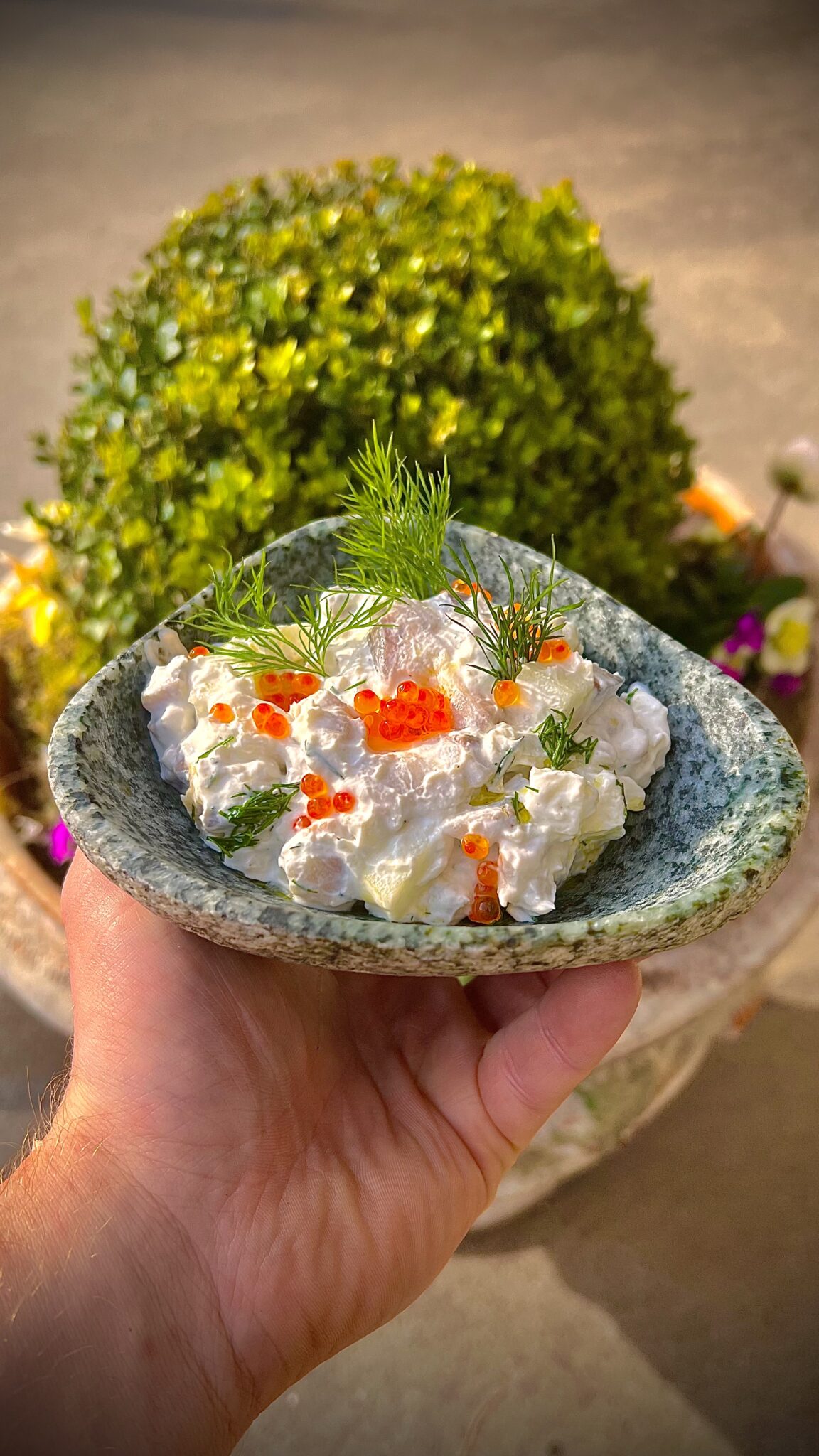 Creamy Matjes Herring with Boskop Apples & Sour Cream Recipe | Tyrolit Life